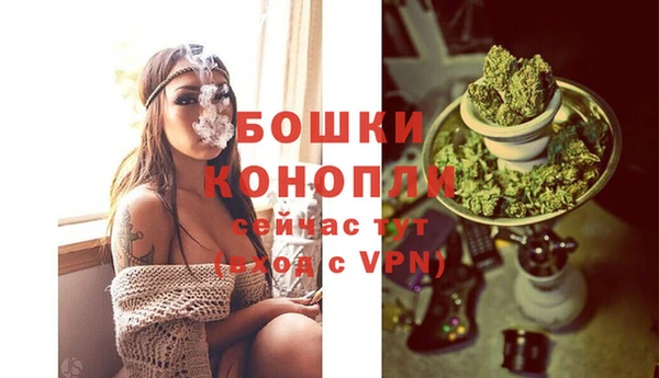 гашик Бронницы